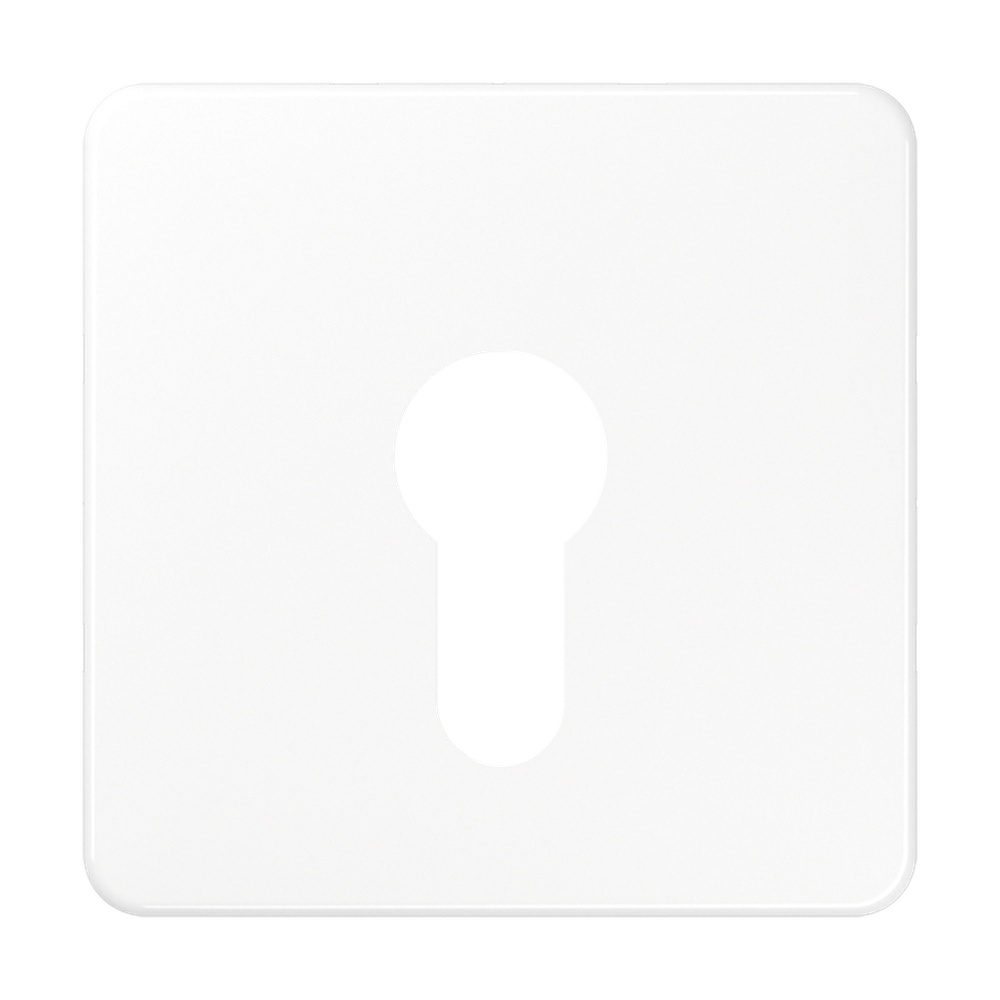 Jung Abdeckung Schlüsselschalter CD 525 WW