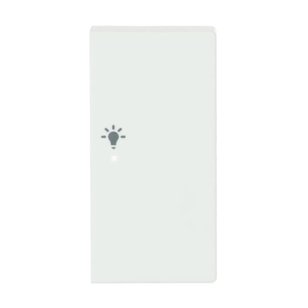 Busch-Jaeger Wippe 6231-22-884 Nr. 2CKA006220A0492