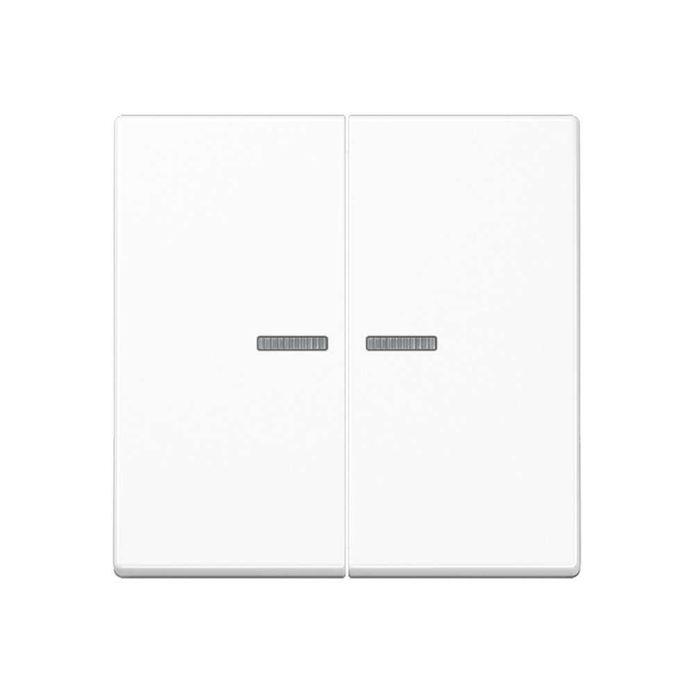 Jung KNX RF Taster 2fach A10921STRFWW