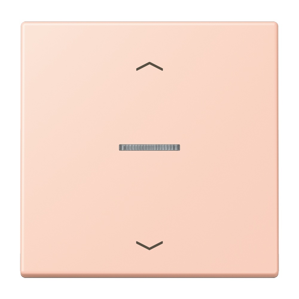 Jung Wippe mit Lichtleiter LC101KO5P234