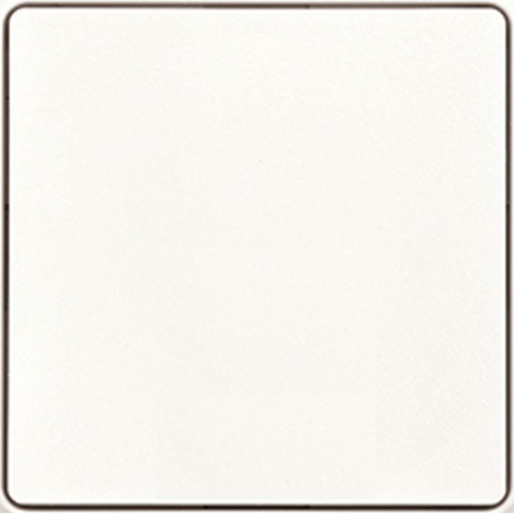 ELTAKO Wipptaster 30055744 Typ WT55E-pm