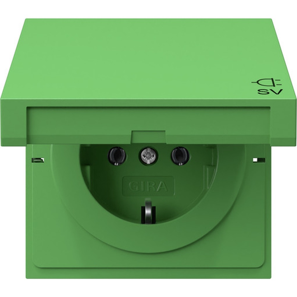 Gira SCHUKO Steckdose 4454707