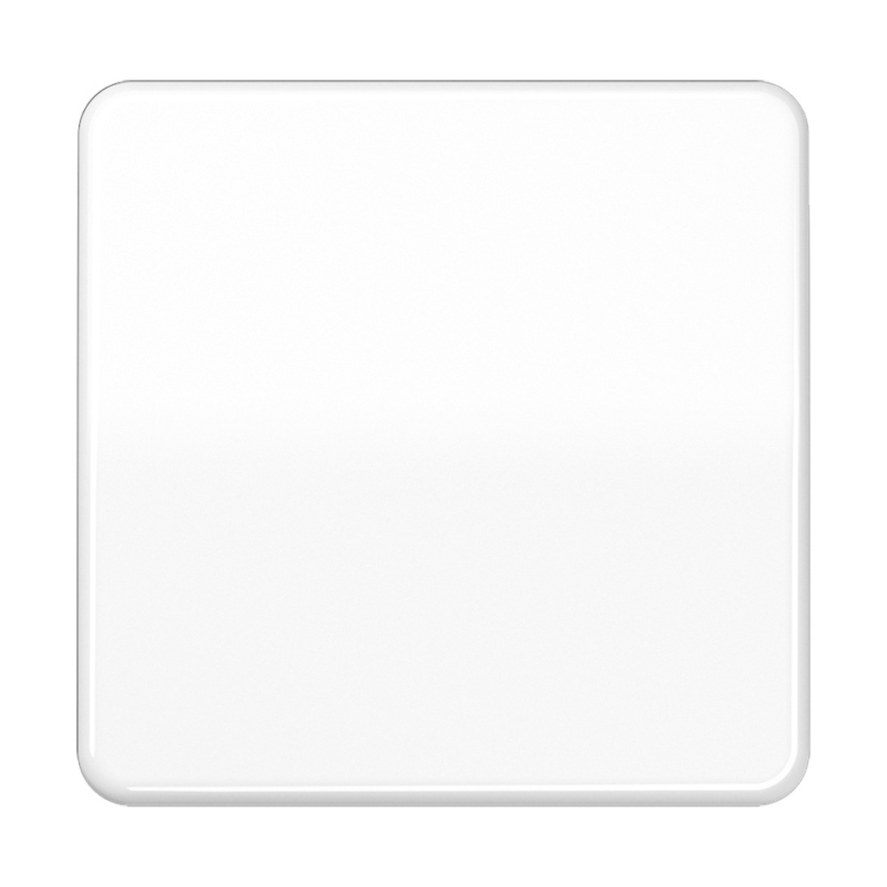 Jung Steuertaste CD1700WW