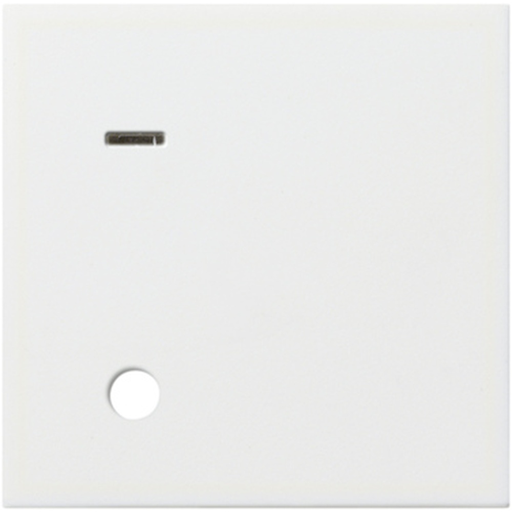 Gira Abdeckung Ackermann 023327