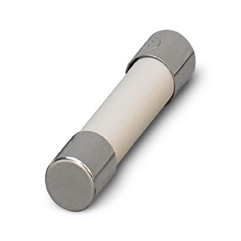 Phoenix Contact Sicherung 2939027 Typ CM-SI-2AF