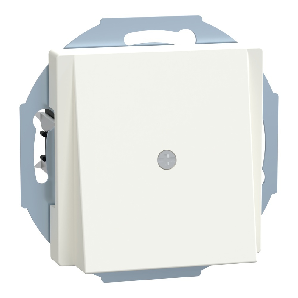 Merten Zentralplatte 296319