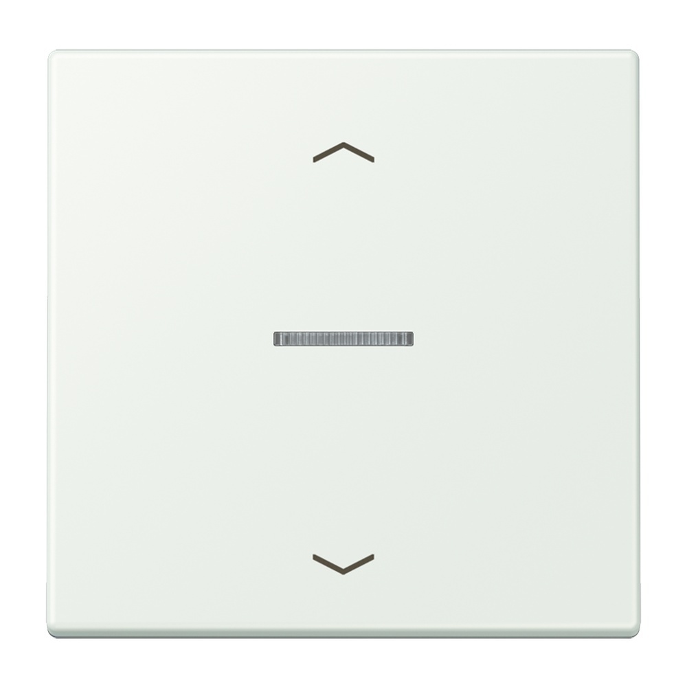 Jung Wippe mit Lichtleiter LC101KO5P210