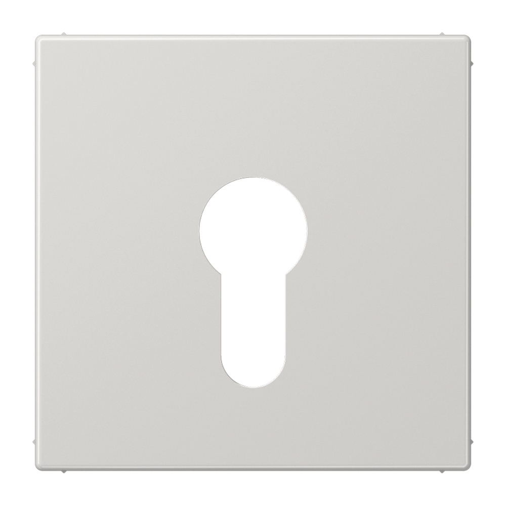 Jung Abdeckung Schlüsselschalter LS 925 LG