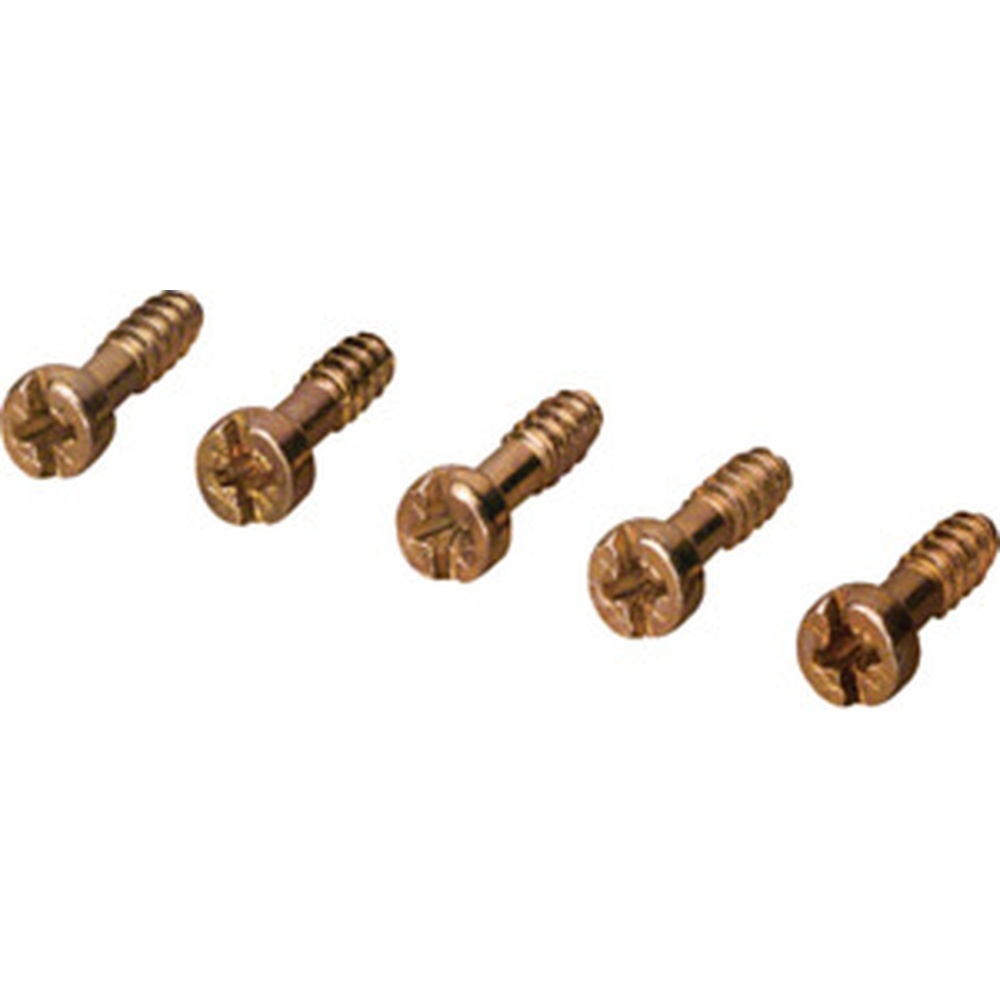 Hager Zylinder-Blechschraube KZ062