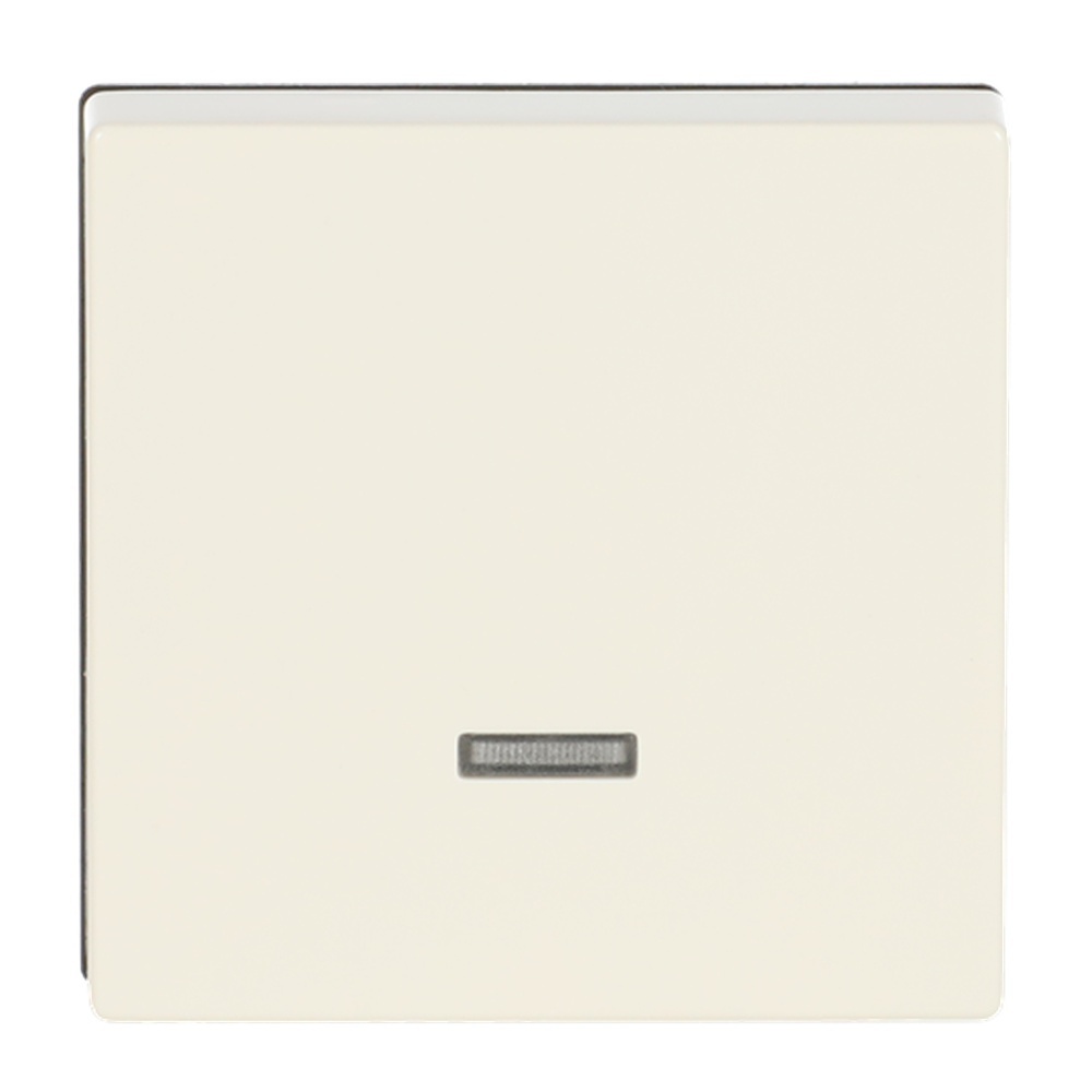 Busch-Jaeger Bedienelement 6543-82-101 Nr. 2CKA006599A2831