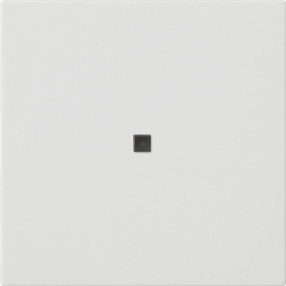 Gira Wippe 1fach 537127