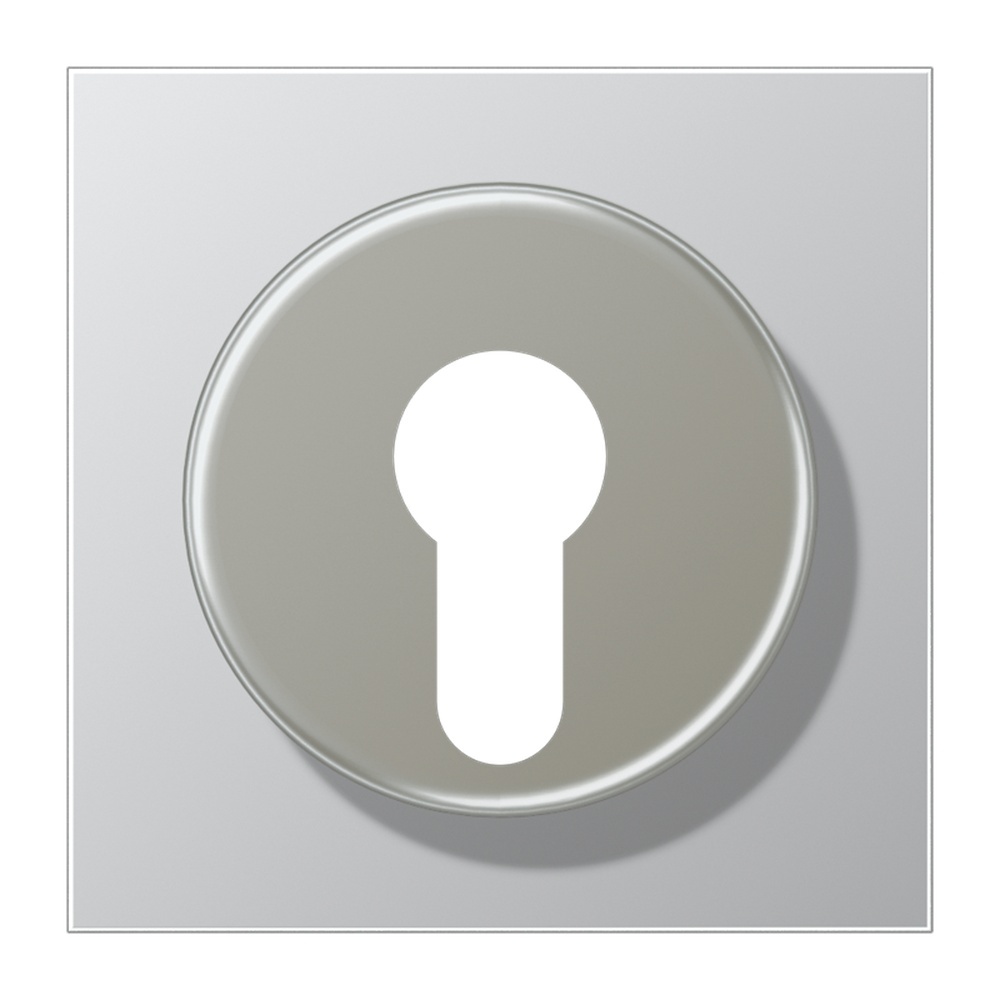 Jung Abdeckung Schlüsselschalter AL 2928