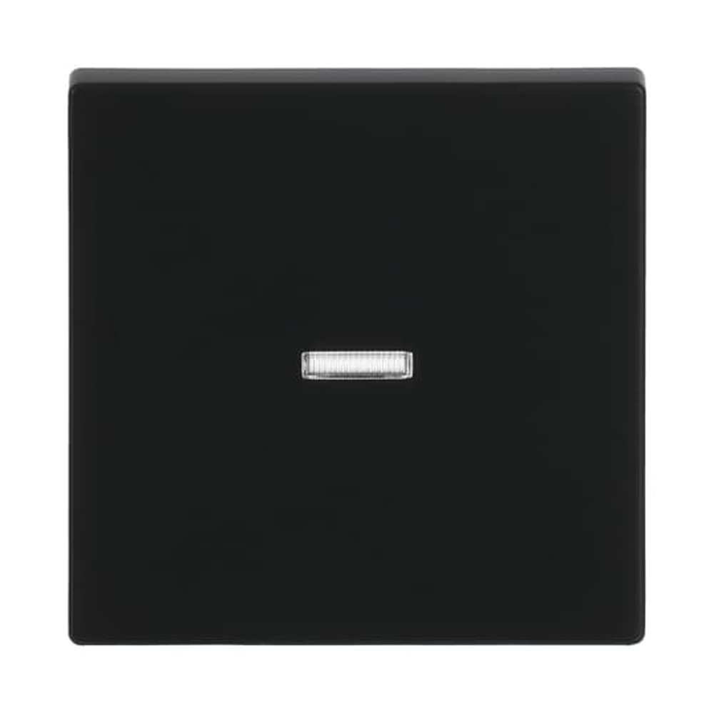 Busch-Jaeger Wippe 1789 N-885 Nr. 2CKA001751A3154