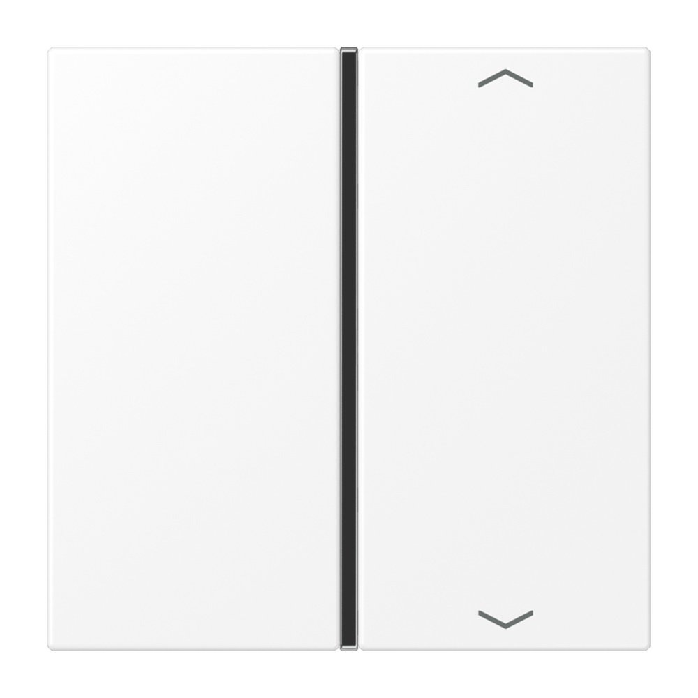 Jung Taste 1fach LS401TSAPWWM