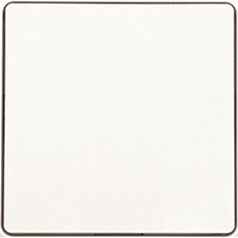 ELTAKO Wippschalter 30055737 Typ WS55E-pg