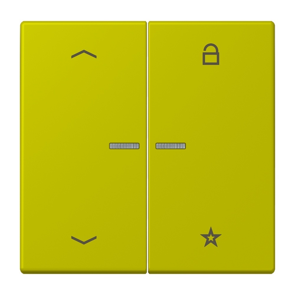 Jung Taster FMLC1701P249