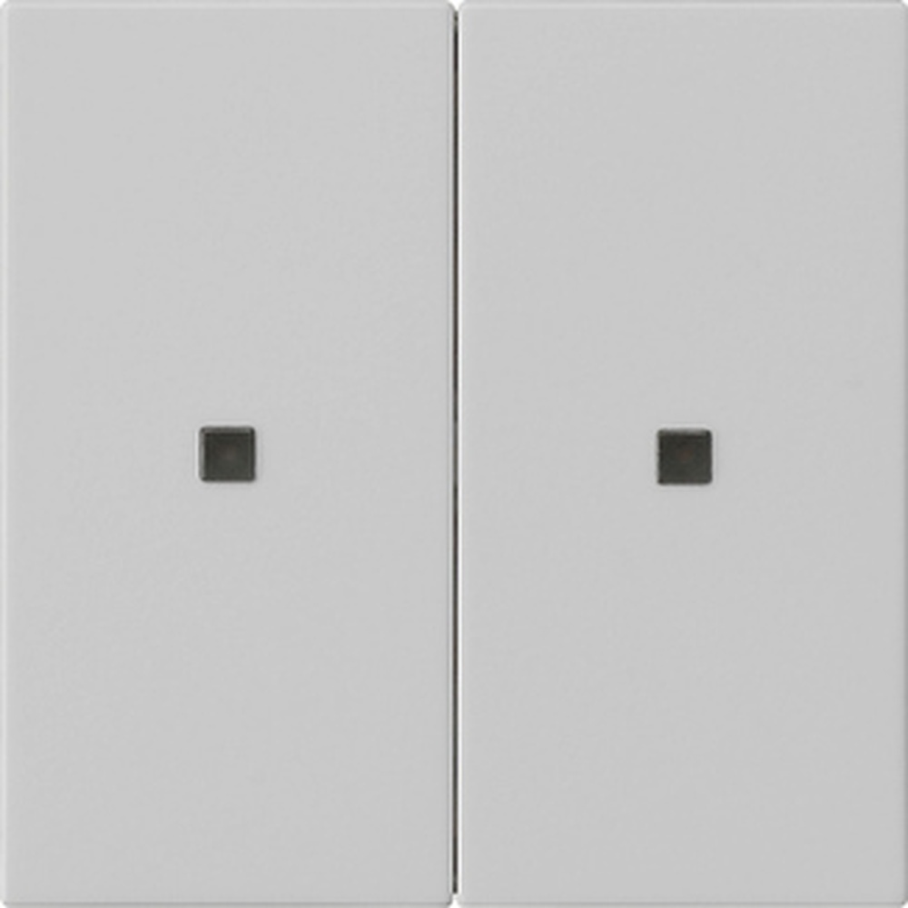 Gira Bedienaufsatz 2fach RF 5107015