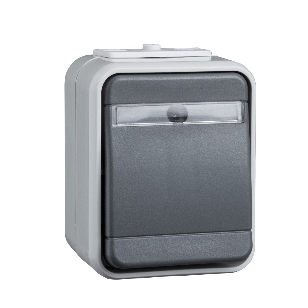 Elso Schalter 441639