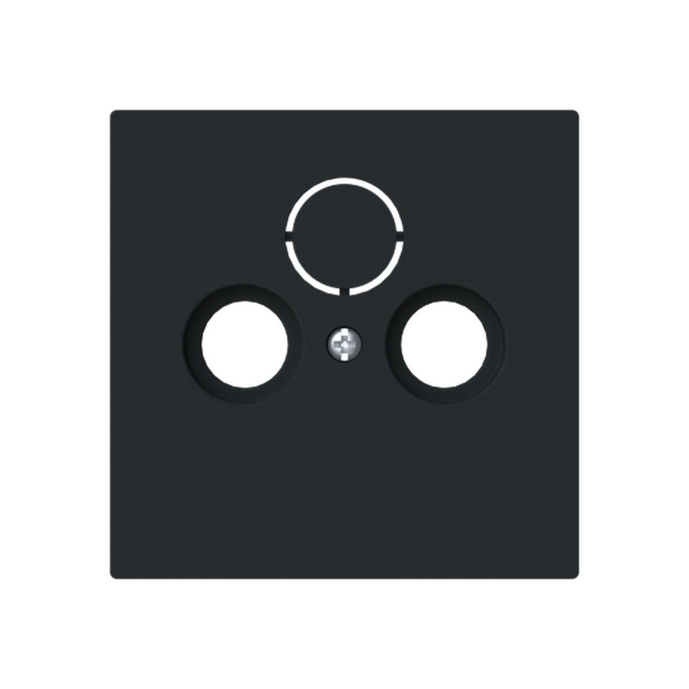 Busch-Jaeger Zentralscheibe 1743-45M Typ 2CKA001724A4435