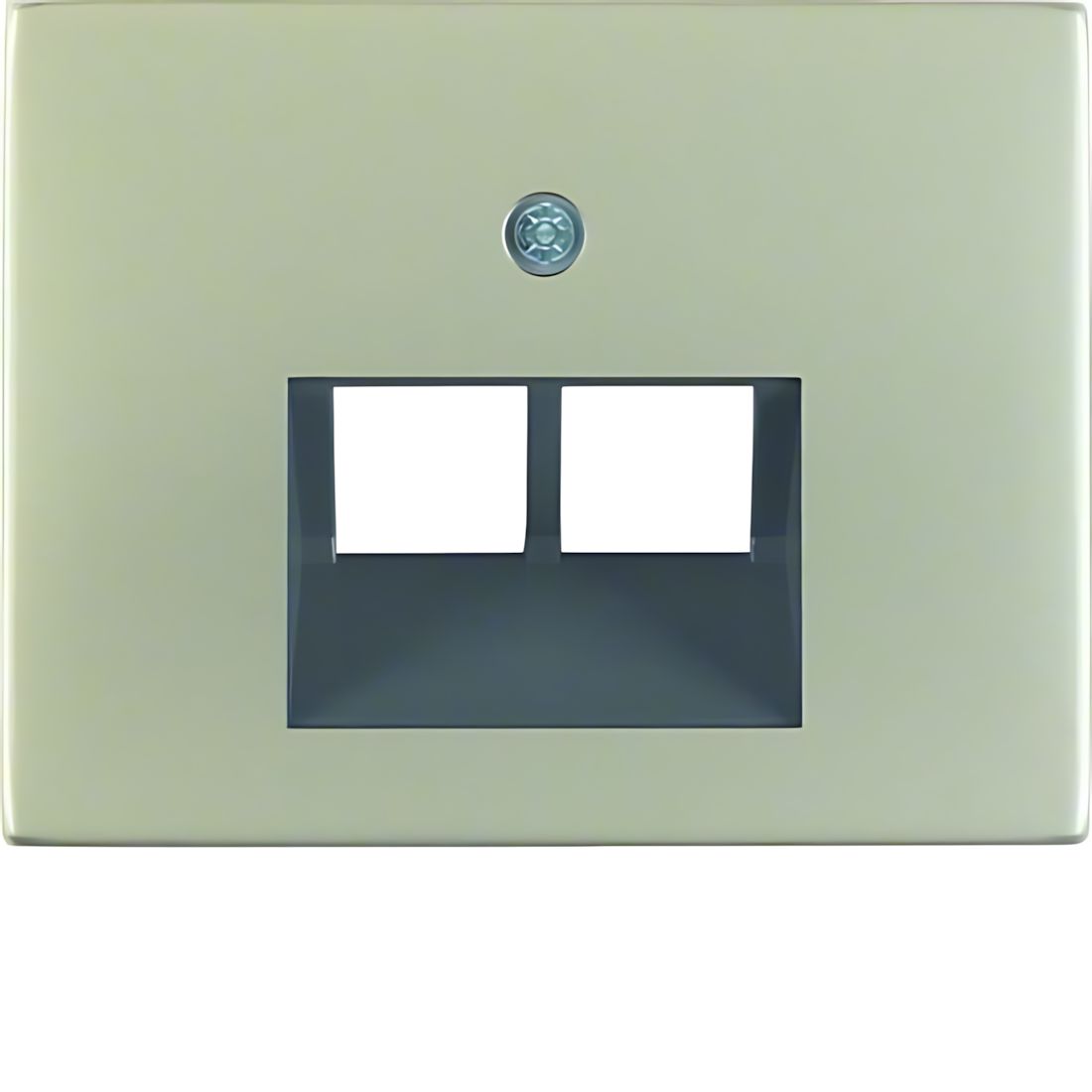 Berker Zentralstück 14097004