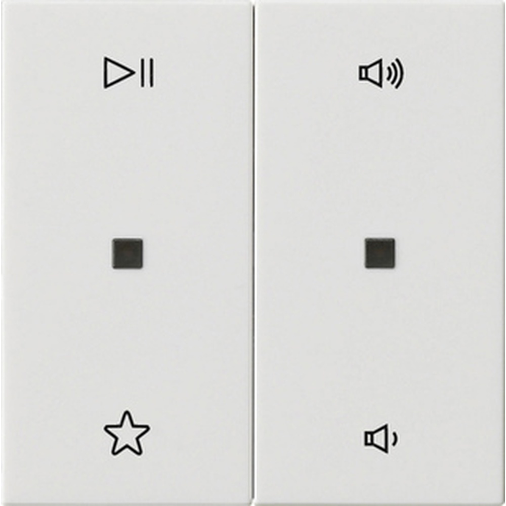 Gira Wippe 2fach 538403