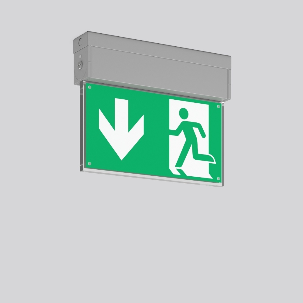 RZB Leuchten Notleuchte Wand u. Deckenleuchte 671983.004.2.89