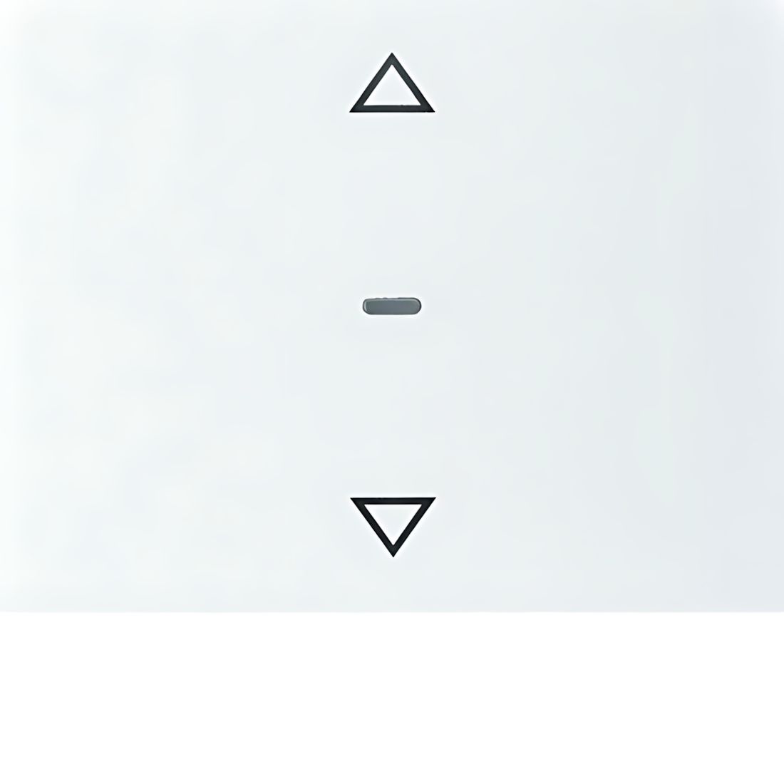 Berker Tastsensor Abdeckung 80961279