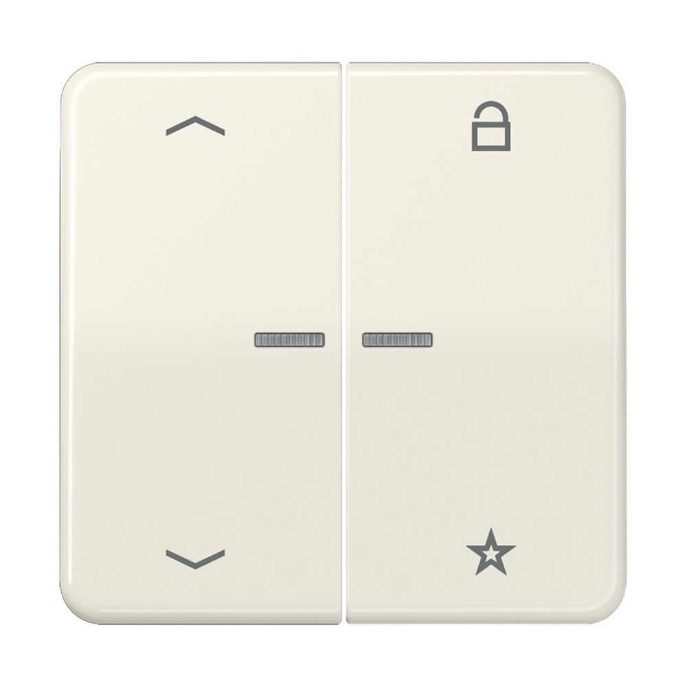 Jung eNet Funk Steuertaste FMCD1701P