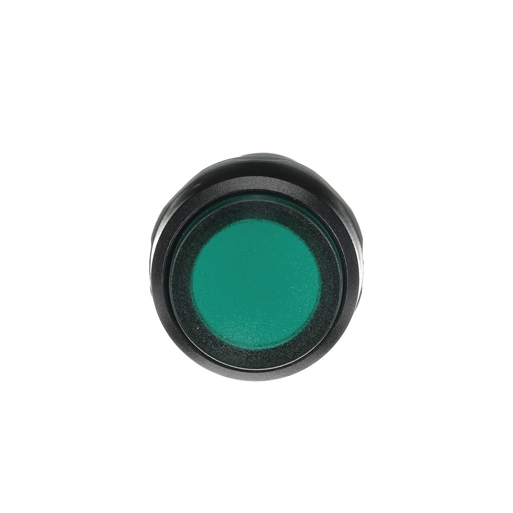 ABB Leuchtdrucktaster 1SFA619102R1212 Typ CP3-12G-10