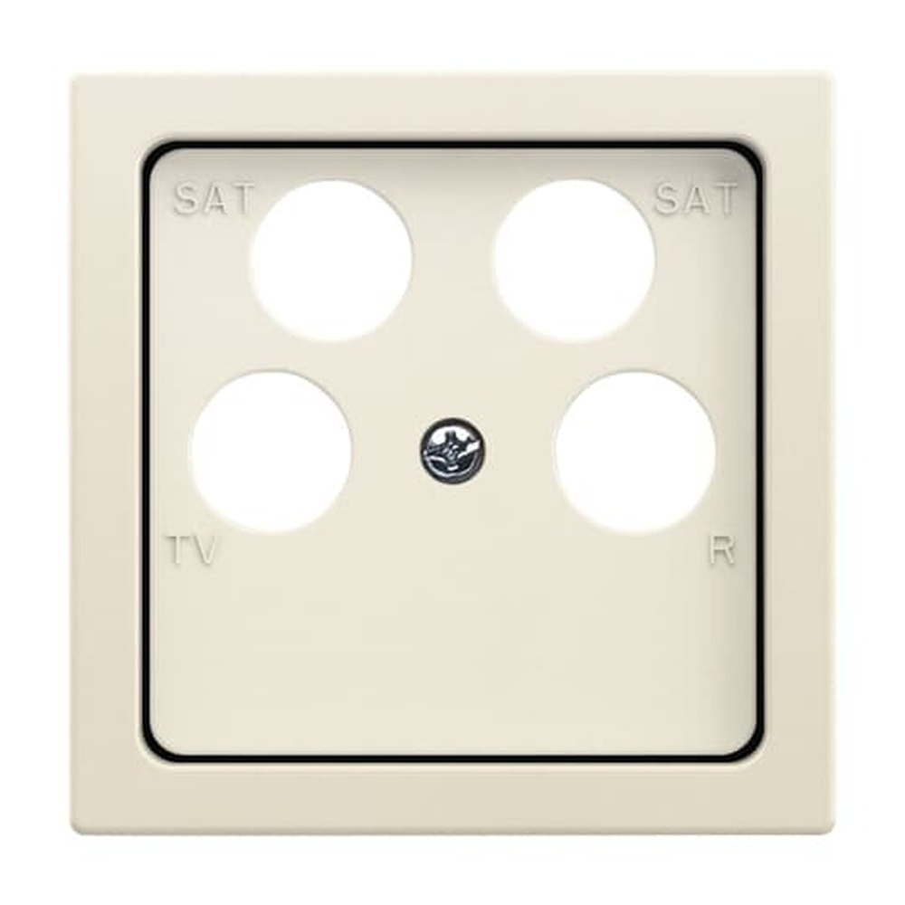 Busch-Jaeger Zentralscheibe 1743/10-04-82 Nr. 2CKA001724A4366