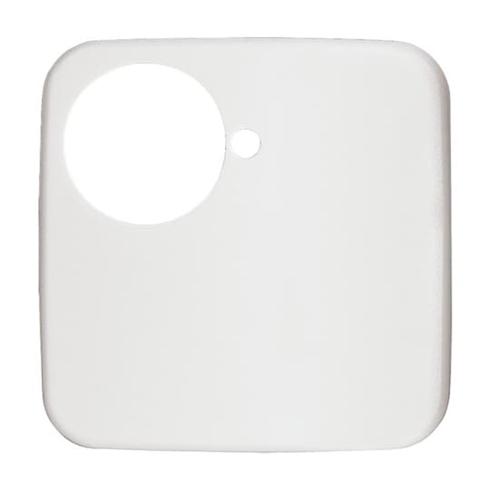 Busch-Jaeger Zentralscheibe 1790-581-214 Nr. 2CKA001710A2918