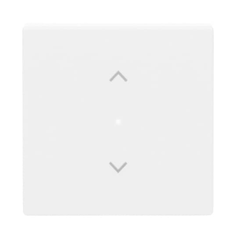 Busch-Jaeger Wippe 6232-10-84 Nr. 2CKA006220A0040