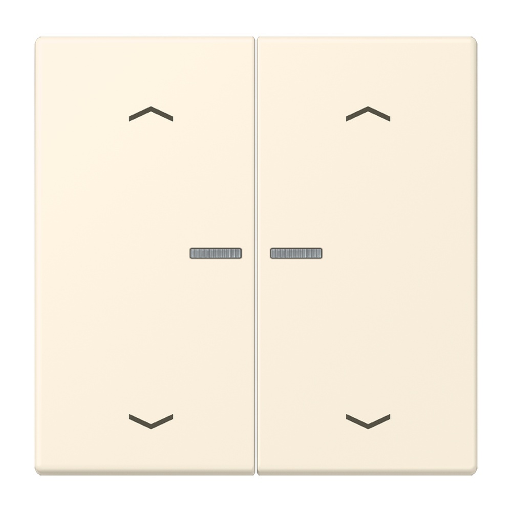 Jung Wippe mit Lichtleiter LC102KO5P245