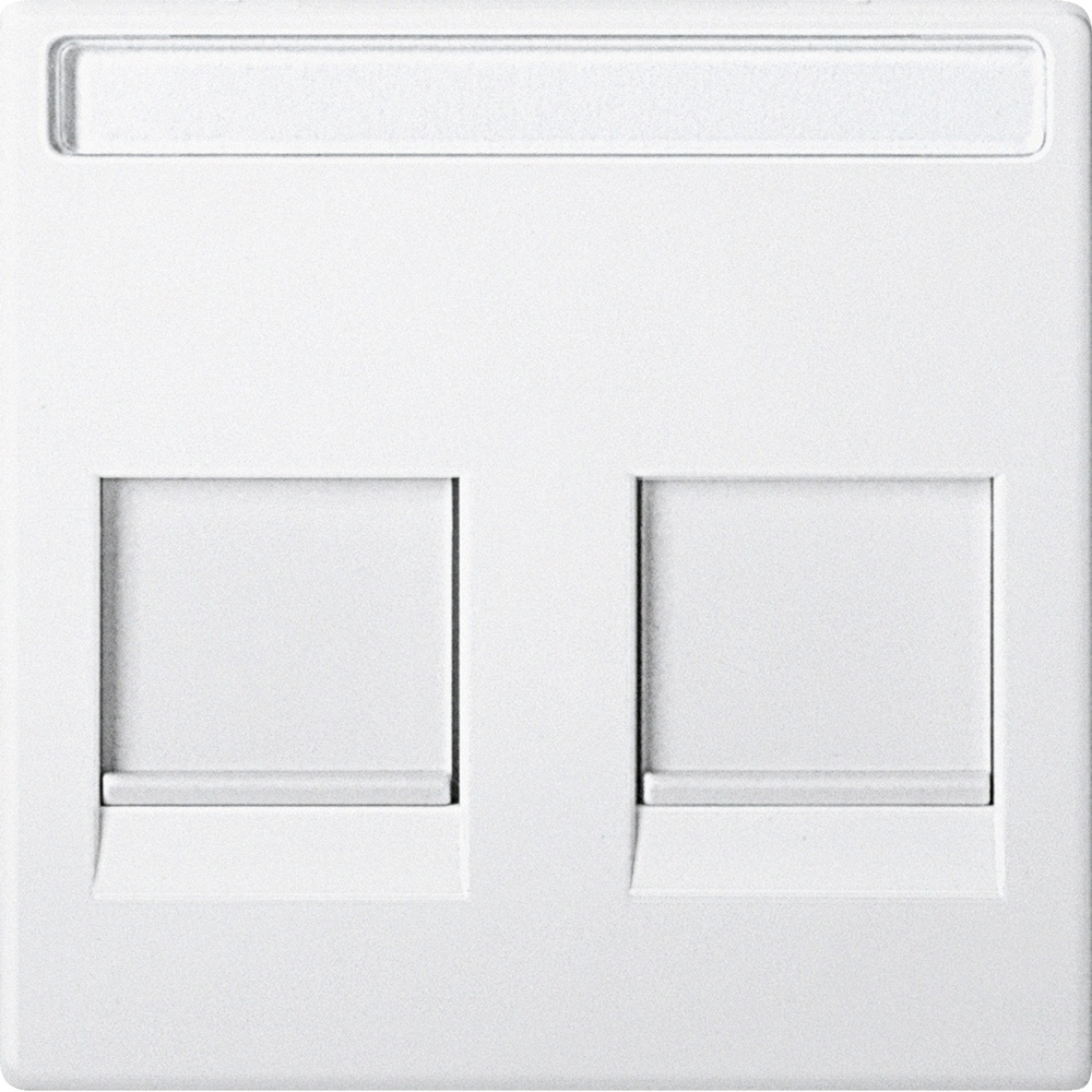 Merten Zentralplatte MEG4564-0419