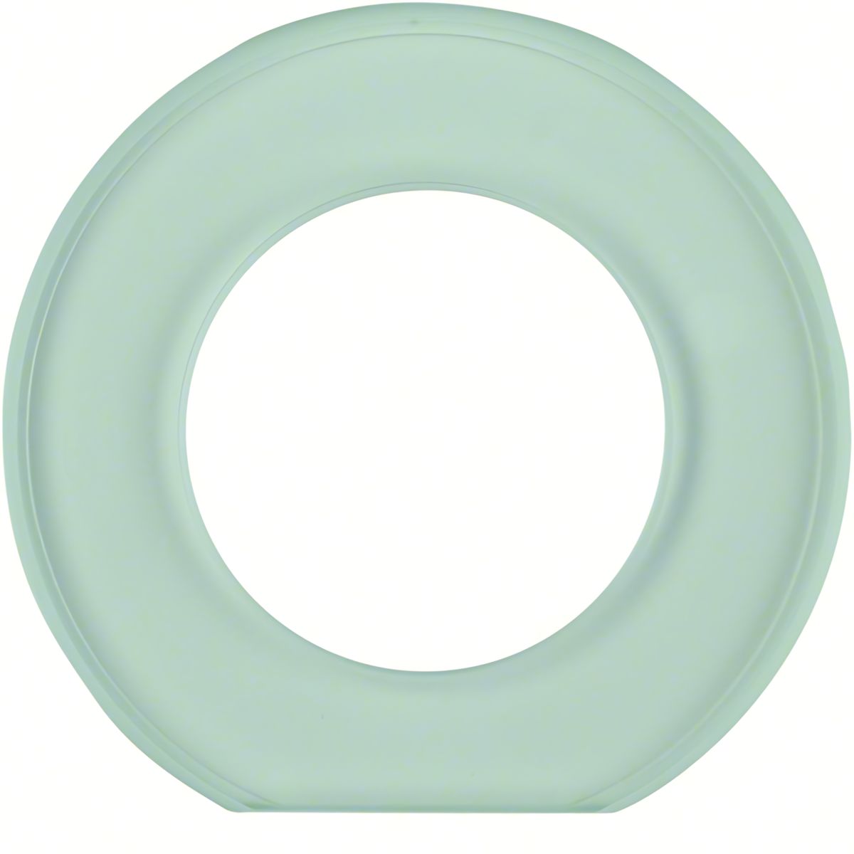 Berker Glas Endrahmen 10920030