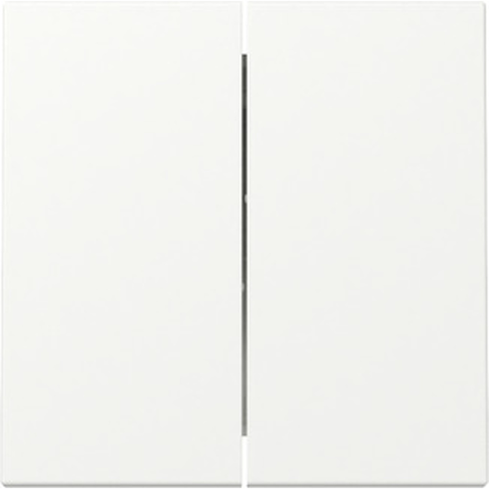 Gira Wippe 2fach 329527