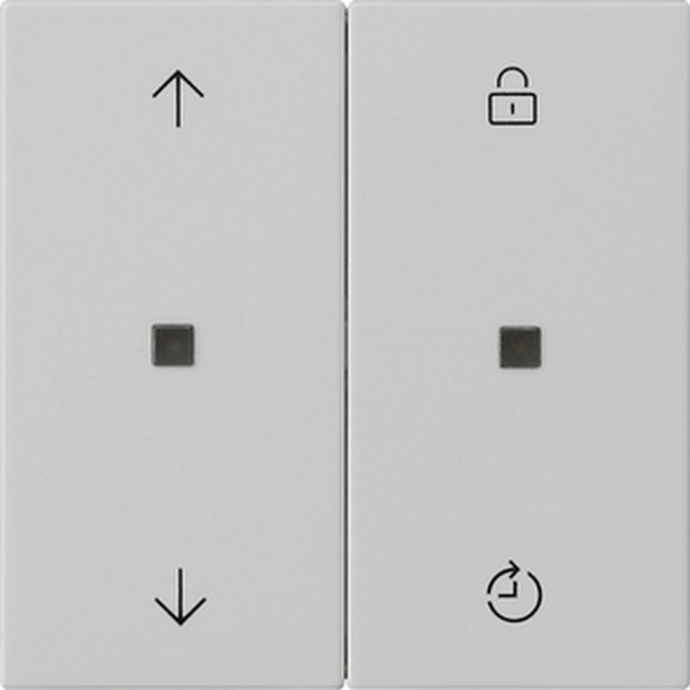 Gira Bedienaufsatz System 5363015