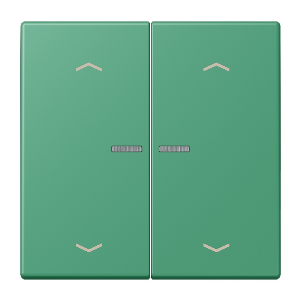 Jung Wippe mit Lichtleiter LC102KO5P250