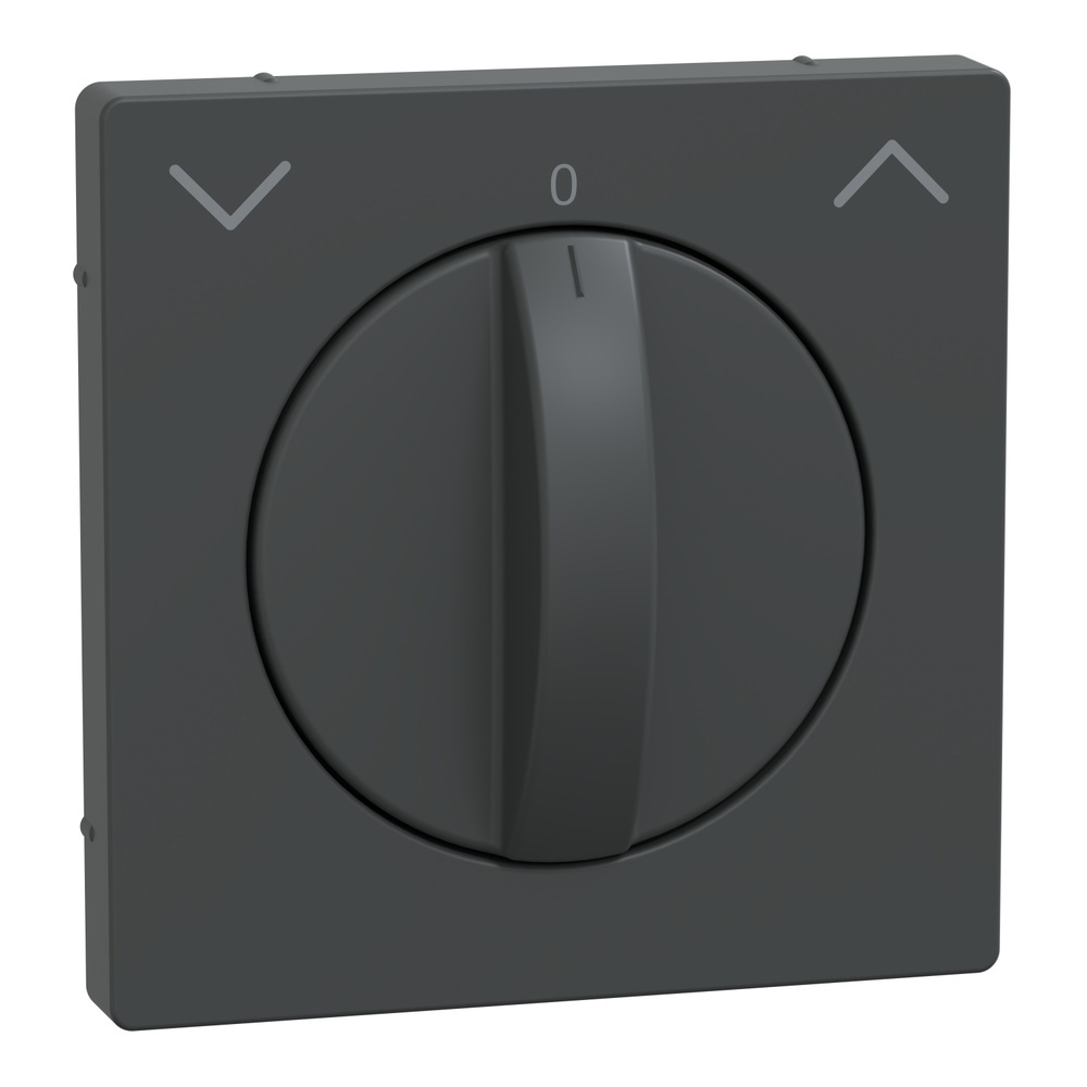 Merten Zentralplatte MEG3875-6034