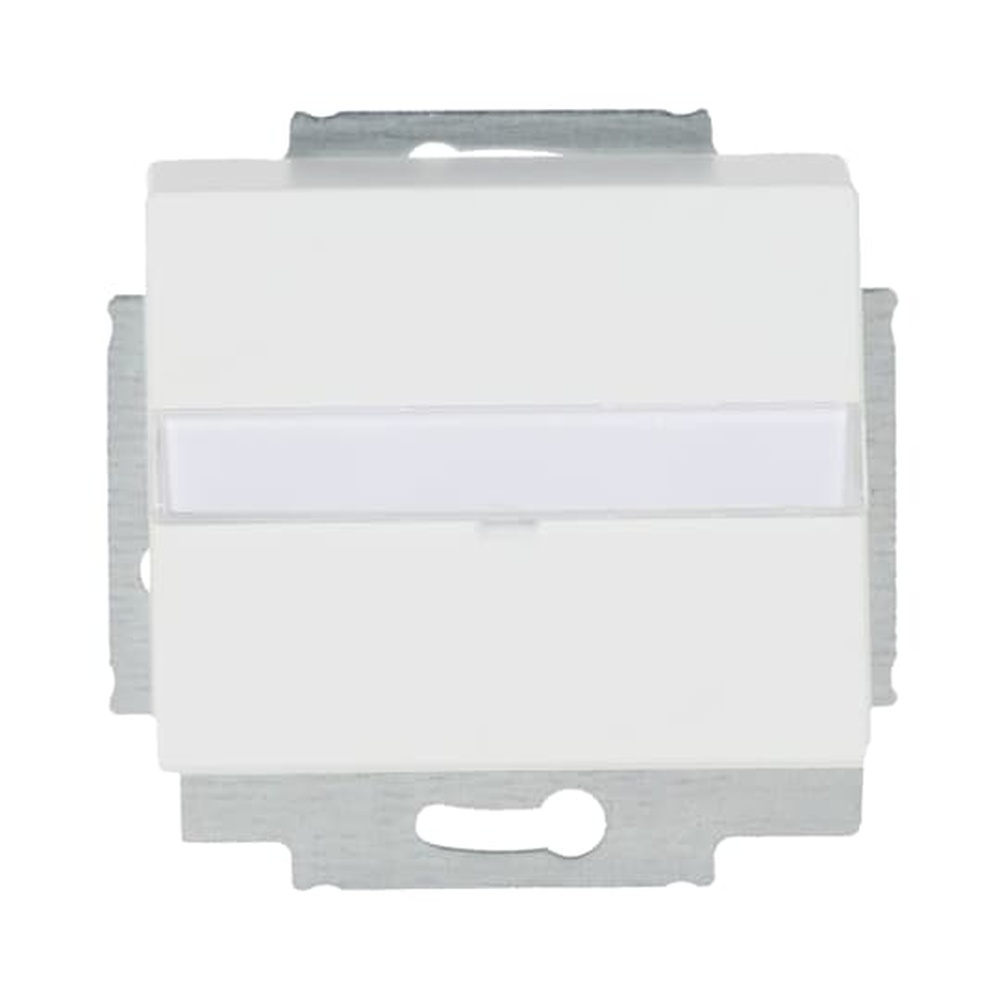 Busch-Jaeger Zentralscheibe 1758-884 Nr. 2CKA001724A4307