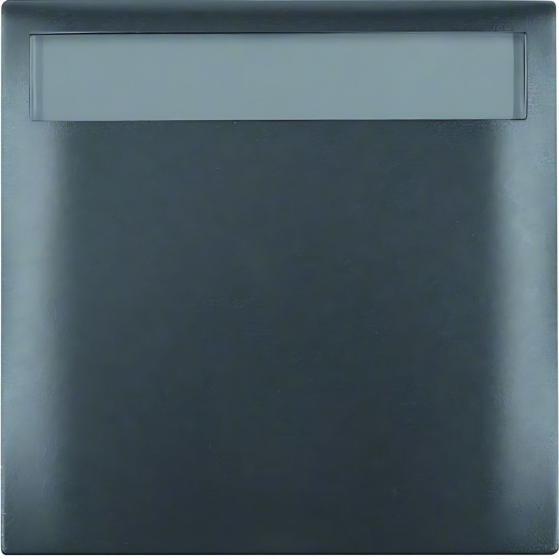 Berker 1fach Rahmen 919882505