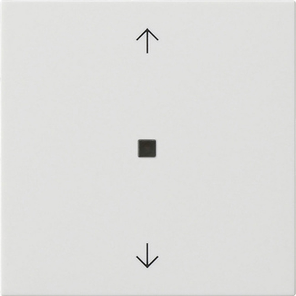 Gira Wippe 1fach 538803