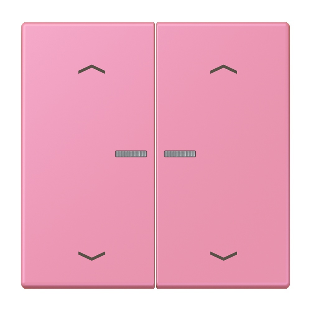 Jung Wippe mit Lichtleiter LC102KO5P246