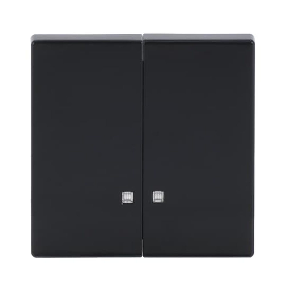 Busch-Jaeger Wippe 1785 K-81 Nr. 2CKA001751A3121