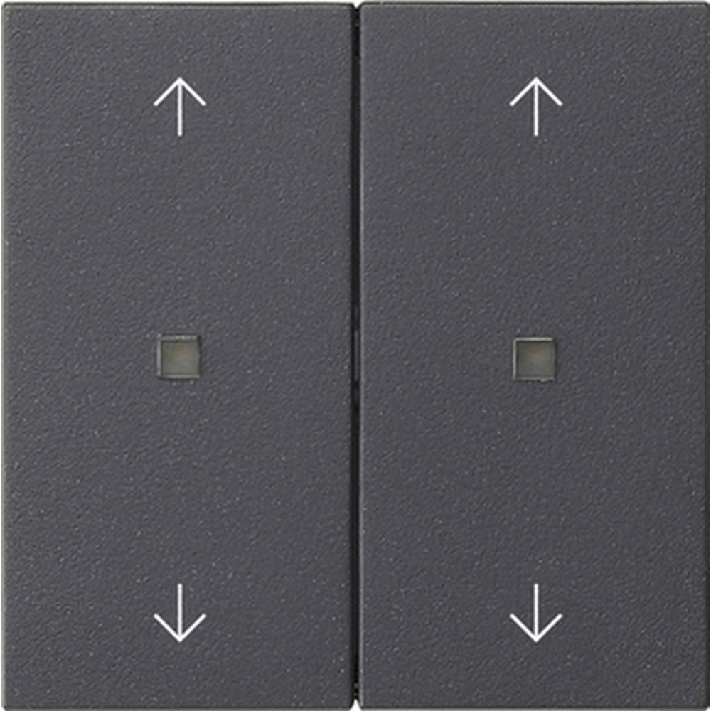 Gira Wippe 2fach 538628