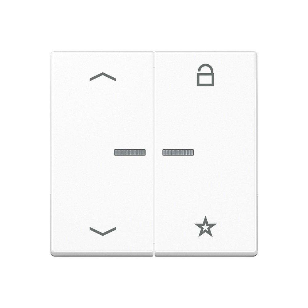 Jung eNet Funk Steuertaste  Pfeile  2fach FMA1701BFPWWM