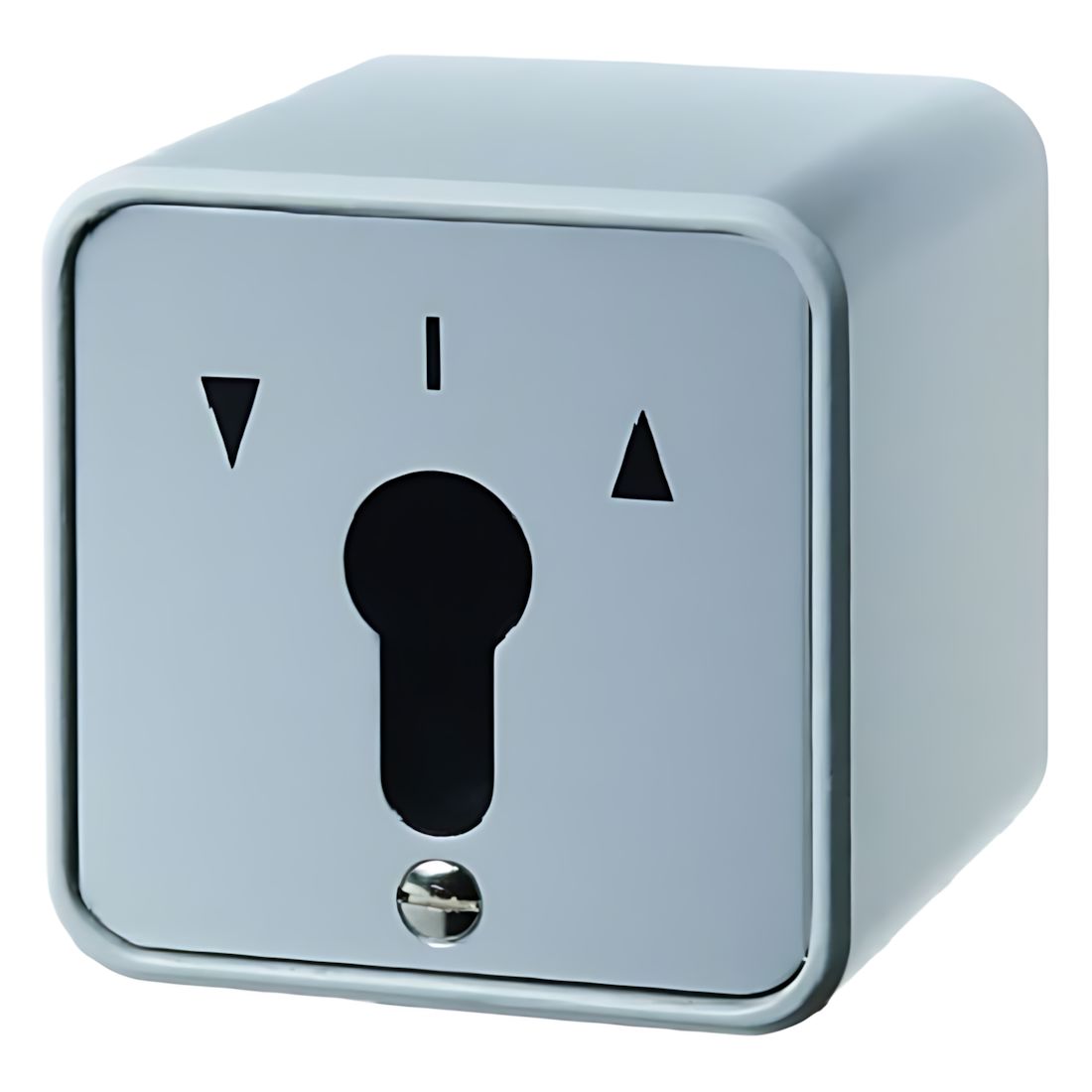 Berker Jalousie Schlüsselschalter 4462