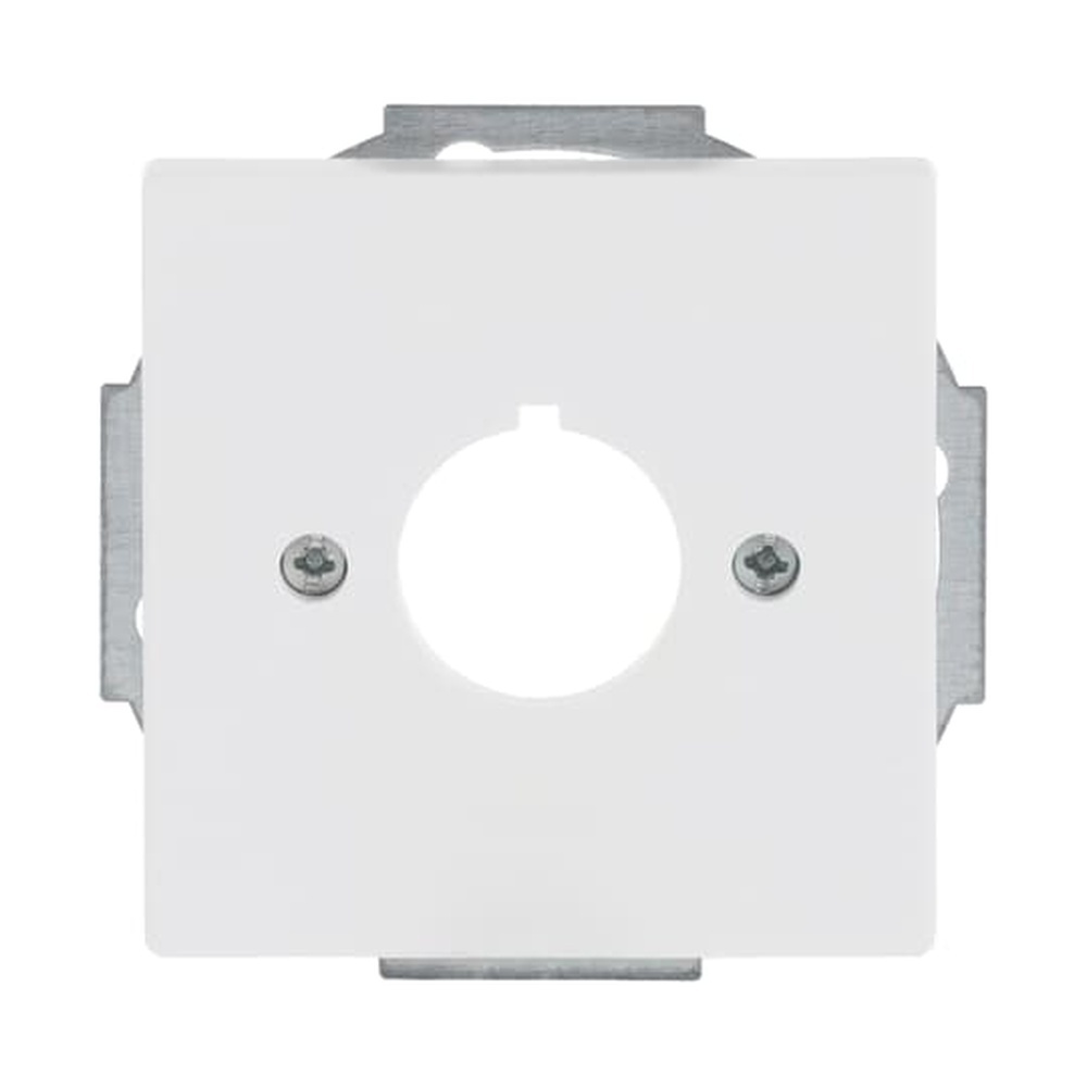 Busch-Jaeger Zentralscheibe 2533-884 Nr. 2CKA001724A4296