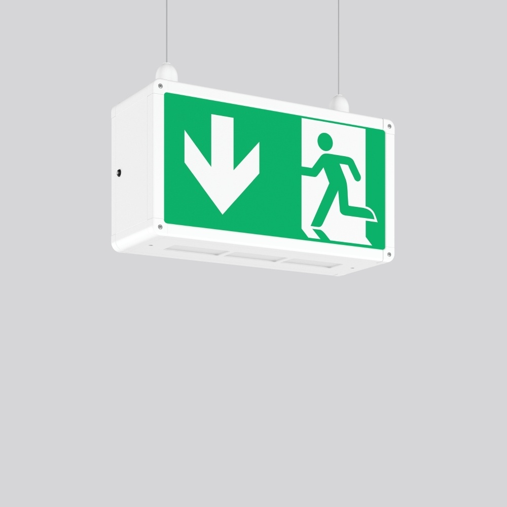 RZB Pendelleuchte 672712.002.1