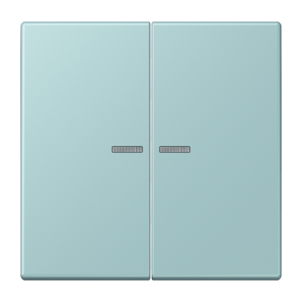 Jung Wippe mit Lichtleiter für Taster 2fach LC102KO5214